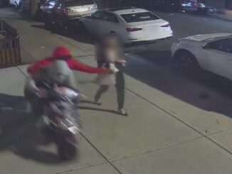 Caught on Camera: 2 Robbers Use Moped Do a Drive-By Purse Snatching in New York