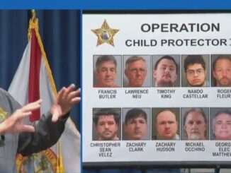 'Sending nasty pictures...': Disney Bus Driver Among The 12 Arrested in Child Predator Sting in Florida