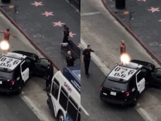 Naked Man Dance on Top of LAPD Police Cruiser Near Hollywood Walk of Fame