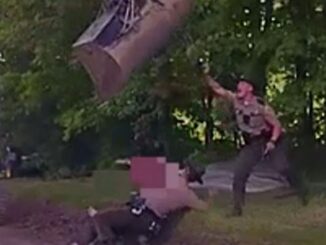 Watch: Father Uses Excavator to Stop Troopers from Arresting His Son
