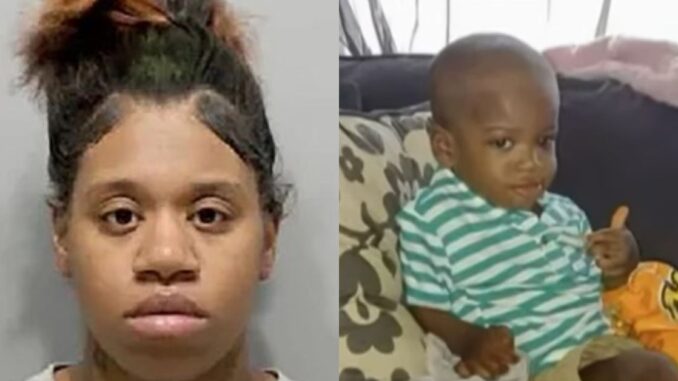 31-Year-Old Michigan Mother Charged With Murder and Child Abuse After 3-Year-Old Son's Body Found in Basement Freezer