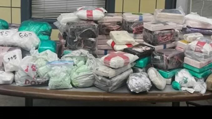 Moving Weight: Over 250 Pounds of Various Drugs Worth an Estimated $24M Seized in Bronx Raid