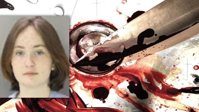 'I Michael Myers'ed my sister': Heartless Teen Admits to Brutally Stabbing Her Cerebral Palsied Sister to Death in Pennsylvania