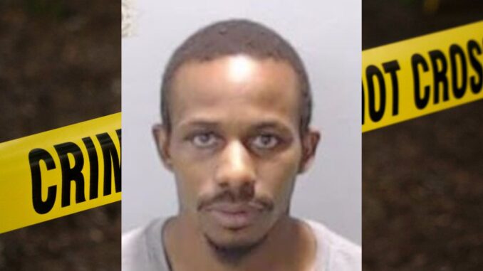 36-Year-Old Man Charged With Shooting 2 Atlanta Subway Employees Over 'Too Much Mayo'