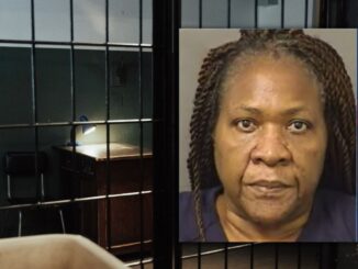 62-Year-Old Florida Woman Pleads Guilty to Stabbing Her Disabled Husband More Than 140 Times
