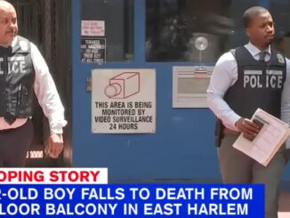 29th Floor: 3-Year-Old Dies After Falling Off a Highrise Balcony in Manhattan