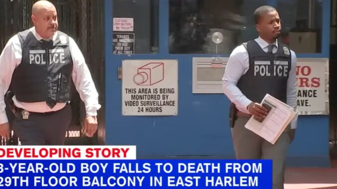 29th Floor: 3-Year-Old Dies After Falling Off a Highrise Balcony in Manhattan