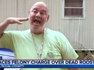 Chickens die every day': Man Charged With Felony Over Dead Rooster