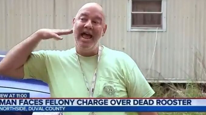 Chickens die every day': Man Charged With Felony Over Dead Rooster