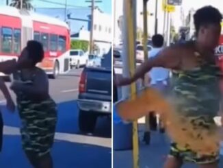Video Shows Aggressive Woman Attack Taco Vender, Dumps Out Their Ingredients & Spits in Containers