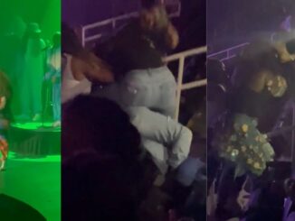 Women Fighting at a Erykah Badu Concert Goes Viral