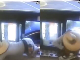 Man Caught on Video Climbing Through Wendy's Drive-Thru Window and Stealing Cash Drawer