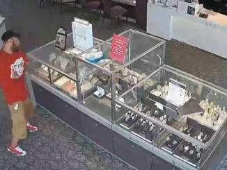 Epic Fail: Wisconsin Man Unsuccessfully Attempts to Steal from Jewelry Store Display Case With a Brick!