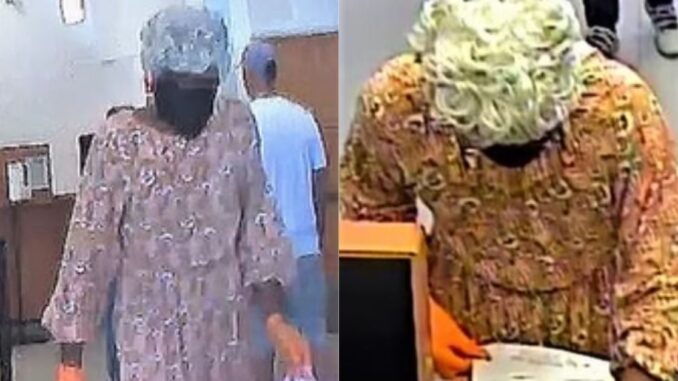 Man Robs a Georgia Bank While Disguised as an Elderly Woman in a Floral Dress & Gray Wig