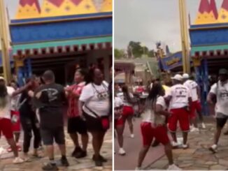 Disney World Brawl: Fist Fly in Video Captured at Magic Kingdom in Florida