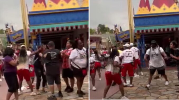 Disney World Brawl: Fist Fly in Video Captured at Magic Kingdom in Florida