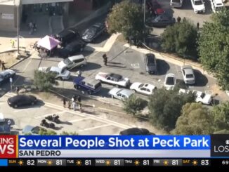 Two People Confirmed Dead After Mass Shooting at San Pedro Park!